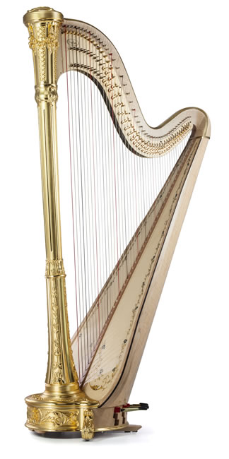 Salvi harp price list discount