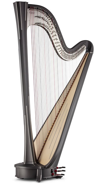 ParaguayanHarps Salvi Harps Authorized Dealer