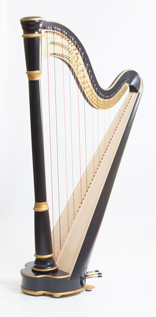 Enigma harp